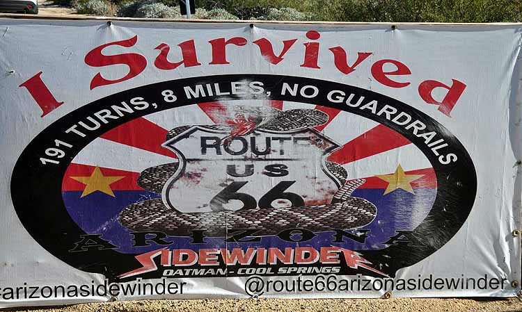 survived sign